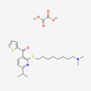 molecular formula C25H36N2O5S2 B560225 Y-29794 草酸盐 CAS No. 146794-84-5