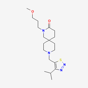 molecular formula C19H32N4O2S B5602882 9-[(4-isopropyl-1,2,3-thiadiazol-5-yl)methyl]-2-(3-methoxypropyl)-2,9-diazaspiro[5.5]undecan-3-one 