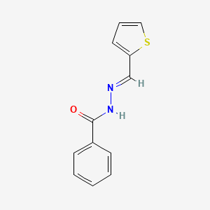 molecular formula C12H10N2OS B5606414 N'-(2-thienylmethylene)benzohydrazide CAS No. 16371-55-4