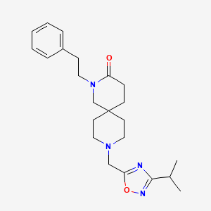 molecular formula C23H32N4O2 B5607125 9-[(3-isopropyl-1,2,4-oxadiazol-5-yl)methyl]-2-(2-phenylethyl)-2,9-diazaspiro[5.5]undecan-3-one 