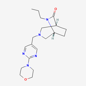 molecular formula C19H29N5O2 B5608418 (1S*,5R*)-3-{[2-(4-morpholinyl)-5-pyrimidinyl]methyl}-6-propyl-3,6-diazabicyclo[3.2.2]nonan-7-one 