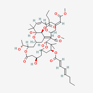 molecular formula C49H72O17 B561018 [(1S,3S,5Z,7R,8Z,11S,12S,13E,15S,17R,21R,23R,25S)-12-butanoyloxy-1,11,21-trihydroxy-17-[(1R)-1-hydroxyethyl]-5,13-bis(2-methoxy-2-oxoethylidene)-10,10,26,26-tetramethyl-19-oxo-18,27,28,29-tetraoxatetracyclo[21.3.1.13,7.111,15]nonacos-8-en-25-yl] (2E,4E)-octa-2,4-dienoate CAS No. 107021-10-3