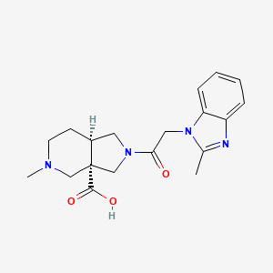 molecular formula C19H24N4O3 B5610759 (3aS*,7aR*)-5-methyl-2-[(2-methyl-1H-benzimidazol-1-yl)acetyl]octahydro-3aH-pyrrolo[3,4-c]pyridine-3a-carboxylic acid 