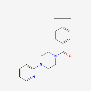 molecular formula C20H25N3O B5611124 1-(4-tert-butylbenzoyl)-4-(2-pyridinyl)piperazine 