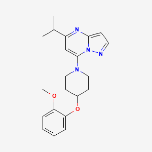 molecular formula C21H26N4O2 B5611517 5-isopropyl-7-[4-(2-methoxyphenoxy)piperidin-1-yl]pyrazolo[1,5-a]pyrimidine 