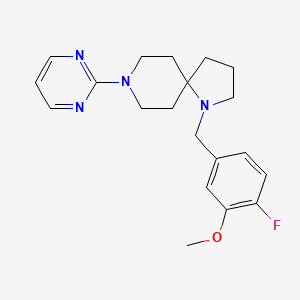 molecular formula C20H25FN4O B5612544 1-(4-fluoro-3-methoxybenzyl)-8-(2-pyrimidinyl)-1,8-diazaspiro[4.5]decane 