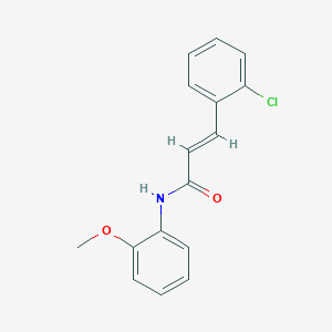 molecular formula C16H14ClNO2 B5613105 3-(2-chlorophenyl)-N-(2-methoxyphenyl)acrylamide 