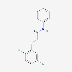 molecular formula C14H11Cl2NO2 B5613254 2-(2,5-dichlorophenoxy)-N-phenylacetamide 