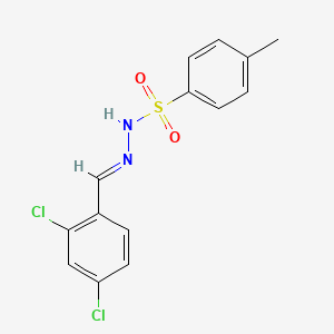 molecular formula C14H12Cl2N2O2S B5613634 N'-(2,4-二氯苯亚甲基)-4-甲基苯磺酰肼 