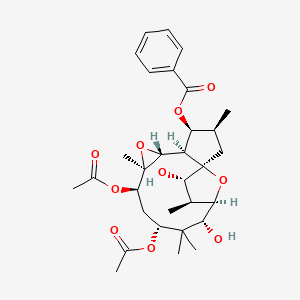 molecular formula C31H42O10 B561388 Euphohelin B CAS No. 100288-17-3