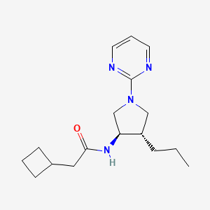 molecular formula C17H26N4O B5615717 2-cyclobutyl-N-[(3R*,4S*)-4-propyl-1-(2-pyrimidinyl)-3-pyrrolidinyl]acetamide 