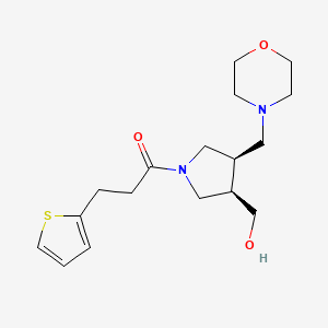 molecular formula C17H26N2O3S B5615879 {(3R*,4R*)-4-(4-morpholinylmethyl)-1-[3-(2-thienyl)propanoyl]-3-pyrrolidinyl}methanol 