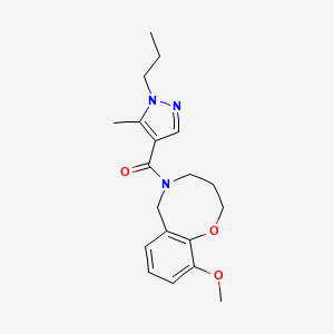 molecular formula C19H25N3O3 B5616362 10-methoxy-5-[(5-methyl-1-propyl-1H-pyrazol-4-yl)carbonyl]-3,4,5,6-tetrahydro-2H-1,5-benzoxazocine 