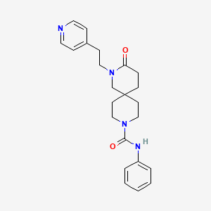 molecular formula C23H28N4O2 B5616953 3-oxo-N-phenyl-2-(2-pyridin-4-ylethyl)-2,9-diazaspiro[5.5]undecane-9-carboxamide 