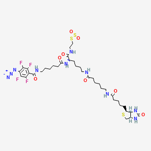 molecular formula C38H56F4N10O8S3 B561718 2-{N2-[N6-(4-Azido-2,3,5,6-tetrafluorobenzoyl)-6-aminocaproyl]-N6-(6-biotinamidocaproyl)-L-lysinylamido}ethyl Methanethiosulfonate CAS No. 1356841-34-3