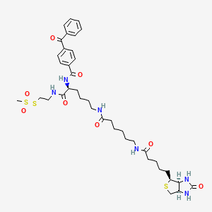 2-[N|A-Benzoylbenzoicamido-N6-(6-biotinamidocaproyl)-L-lysinylamido]ethyl Methanethiosulfonate