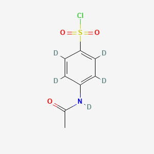 molecular formula C8H8ClNO3S B561769 4-(Acetylamino)benzenesulfonyl-d5 Chloride CAS No. 1020718-84-6