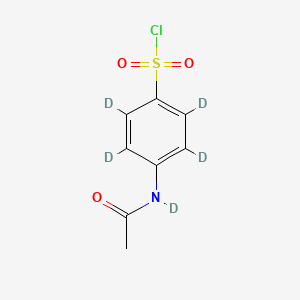 molecular formula C8H8ClNO3S B561769 Cloruro de 4-(Acetilamino)bencenosulfonil-d5 CAS No. 1020718-84-6