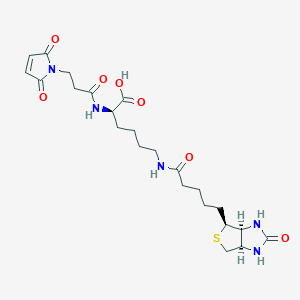 (2S)-6-[5-[(3aS,4S,6aR)-2-oxo-1,3,3a,4,6,6a-hexahydrothieno[3,4-d]imidazol-4-yl]pentanoylamino]-2-[3-(2,5-dioxopyrrol-1-yl)propanoylamino]hexanoic acid