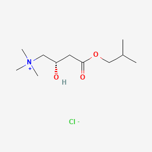 molecular formula C11H24ClNO3 B561936 (S)-肉碱异丁酯，氯化盐 CAS No. 161886-61-9