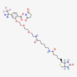molecular formula C35H46F3N7O10S B561958 2-[2-[2-[2-[6-(Biotinylaminohexanoyl]aminoethoxy]ethoxy]ethoxy]-4-[3-(trifluoromethyl)-3H-diazirin-3-yl]benzoic Acid N-Hydroxysuccinimide Ester CAS No. 1217722-17-2