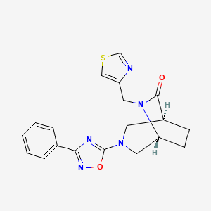 molecular formula C19H19N5O2S B5620401 (1S*,5R*)-3-(3-phenyl-1,2,4-oxadiazol-5-yl)-6-(1,3-thiazol-4-ylmethyl)-3,6-diazabicyclo[3.2.2]nonan-7-one 