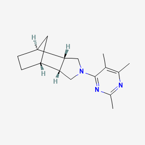 molecular formula C16H23N3 B5620472 (1R*,2R*,6S*,7S*)-4-(2,5,6-trimethylpyrimidin-4-yl)-4-azatricyclo[5.2.1.0~2,6~]decane 