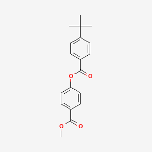 molecular formula C19H20O4 B5620782 4-(methoxycarbonyl)phenyl 4-tert-butylbenzoate 