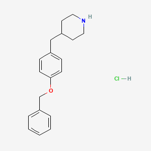 molecular formula C19H24ClNO B562132 4-(4-(Benzyloxy)benzyl)piperidine hydrochloride CAS No. 1177093-20-7