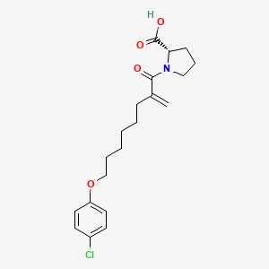 molecular formula C20H29ClN2O4 B562197 (2S)-1-[8-(4-chlorophenoxy)-2-methylideneoctanoyl]pyrrolidine-2-carboxylic acid CAS No. 468095-77-4
