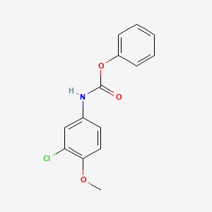 molecular formula C14H12ClNO3 B5622267 phenyl (3-chloro-4-methoxyphenyl)carbamate 