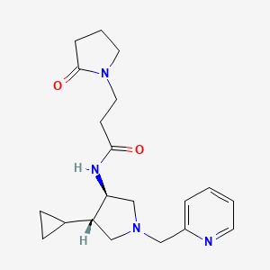 molecular formula C20H28N4O2 B5622696 N-[rel-(3R,4S)-4-cyclopropyl-1-(2-pyridinylmethyl)-3-pyrrolidinyl]-3-(2-oxo-1-pyrrolidinyl)propanamide hydrochloride 