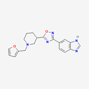 molecular formula C19H19N5O2 B5622968 5-{5-[1-(2-furylmethyl)-3-piperidinyl]-1,2,4-oxadiazol-3-yl}-1H-benzimidazole 