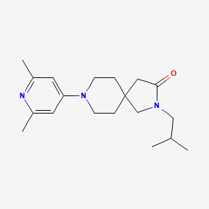 molecular formula C19H29N3O B5623002 8-(2,6-dimethyl-4-pyridinyl)-2-isobutyl-2,8-diazaspiro[4.5]decan-3-one 