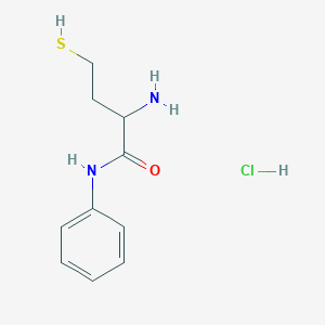 molecular formula C10H15ClN2OS B5623014 N~1~-phenylhomocysteinamide hydrochloride 