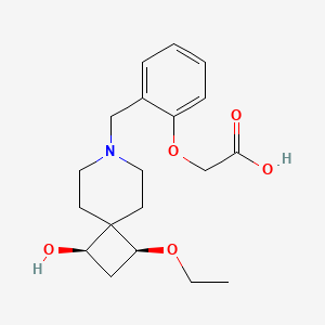 molecular formula C19H27NO5 B5623330 (2-{[(1S*,3R*)-1-ethoxy-3-hydroxy-7-azaspiro[3.5]non-7-yl]methyl}phenoxy)acetic acid 