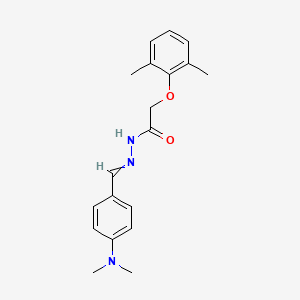 molecular formula C19H23N3O2 B5623545 N'-[4-(dimethylamino)benzylidene]-2-(2,6-dimethylphenoxy)acetohydrazide 