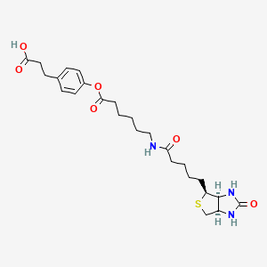 B562412 3-(4-(N-Biotinoyl-6-aminocaproyloxy)phenyl)propionic Acid CAS No. 83592-10-3