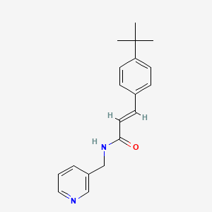 molecular formula C19H22N2O B5624322 3-(4-tert-butylphenyl)-N-(3-pyridinylmethyl)acrylamide 