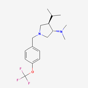 molecular formula C17H25F3N2O B5624345 (3S*,4R*)-4-isopropyl-N,N-dimethyl-1-[4-(trifluoromethoxy)benzyl]pyrrolidin-3-amine 