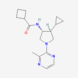 molecular formula C17H24N4O B5624365 N-[(3R*,4S*)-4-cyclopropyl-1-(3-methyl-2-pyrazinyl)-3-pyrrolidinyl]cyclobutanecarboxamide 