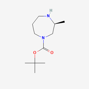 molecular formula C11H22N2O2 B562592 (S)-叔丁基 3-甲基-1,4-二氮杂环戊烷-1-羧酸酯 CAS No. 194032-32-1
