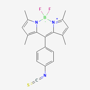 B562593 Bodipy Isothiocyanate CAS No. 1349031-04-4