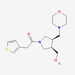 molecular formula C16H24N2O3S B5626373 [(3R*,4R*)-4-(4-morpholinylmethyl)-1-(3-thienylacetyl)-3-pyrrolidinyl]methanol 