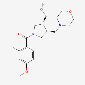 molecular formula C19H28N2O4 B5627118 [(3R*,4R*)-1-(4-methoxy-2-methylbenzoyl)-4-(4-morpholinylmethyl)-3-pyrrolidinyl]methanol 