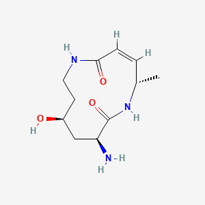 molecular formula C11H19N3O3 B562799 Glidobamine CAS No. 108351-42-4
