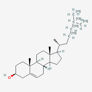 molecular formula C27H46O B562950 Cholesterol-13C5 CAS No. 150044-24-9