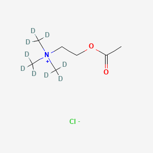 molecular formula C7H16ClNO2 B562963 Acetylcholine-d9 Chloride CAS No. 344298-95-9