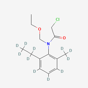 molecular formula C14H20ClNO2 B562964 乙草胺-d11 CAS No. 1189897-44-6