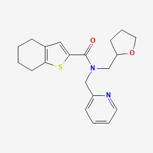 molecular formula C20H24N2O2S B5630032 N-(2-pyridinylmethyl)-N-(tetrahydro-2-furanylmethyl)-4,5,6,7-tetrahydro-1-benzothiophene-2-carboxamide 